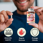 ✨ BERBERINA PLUS™ | Equilibrio de Glucosa y Metabolismo Saludable 🧡
